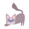 Disheveled cat cartoon feline character pets