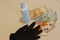 Disinfectant spray protective gloves and money