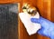 Disinfection in public places, the fight against the virus, coronavirus.Worker`s hand wipes the door handles. A maid or housewife