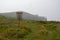 Disk golf course in a grassy meadow on Grimsey Island Iceland