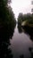 Dismal Swamp Canal, Virginia
