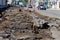 Dismantling of old tram rails. Kirovsky avenue, Rostov-on-Don, Russia. August 2, 2016