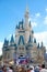 Disney Castle