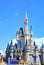 Disney Cinderella Castle Walt Disney World