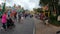 Disney`s Animal Kingdom