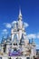 Disney\'s Magic Castle Florida