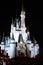 Disney\'s Magic Castle Florida at Night