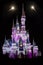 Disney World Cinderella\'s Castle with Fireworks
