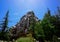 Disneyland Matterhorn Mountain Trees Sunny Day