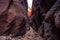 Displaced Ladder, Buckskin Gulch Slot Canyon at Wire Pass Trail, Kanab, Utah