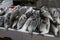 Display of fishes on a fish stand at a market