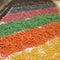 Display of a Food Store with Various Rows of Raw Coloured Pasta