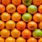 Display Fresh and delicious oranges on display, vibrant colors pop