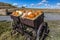 Display of Halloween Pumpkins, Hastings Mesa, Colorado - near Ridgway, October 1, 2016