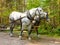 A display at a logging museum in northern ontario