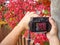 Display of photo camera shows red lush foliage in garden