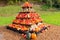 Display of pumpkins, squash and gourds