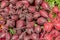 Display of red beets at the market