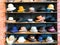 A display of women`s hats