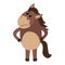 Displeased brown horse.