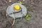 Disposable respirator with a yellow valve on the ground. Used face mask dumped on the ground during the Covid-19 pandemic.