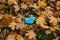 A disposable used blue medical mask is thrown to the ground during the COVID19 coronavirus pandemic.