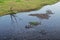 Dispose of two bicycles in a river as a symbol of environmental pollution