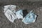 Disposed used surgical mask on the street