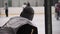 Disqualified or injured hockey team player watching match on ice rink from bench