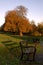 Diss Town Park and Bench