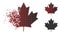 Dissolving Dot Halftone Maple Leaf Icon