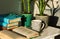 Distance home education: pile of books in colorful covers, glasses, cup of tea and Sansevieria snake plant in ceramic pots on a