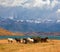 Distance are seen three rocks Torres del Paine