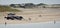 The distance view of the fisherman on Cape Henlopen Beach near Lewes, Delaware, U.S