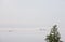 Distant farmhouse and trees in valley mist