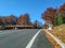 Distant freeway path escape in the nature on a sunny open autumn fall day with closeup on asphalt transportation route