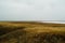 Distant hills. Hilly steppe. Curvy hills. Blue sky and grass. Beautiful plain