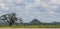 Distant mountain range and the large tree landscape photograph. Cloudy day in the tropics