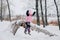 Distant photo of female kid jumping off tree log into snow with hands up and happy face wearing pink winter warm clothes