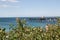 Distant pier framed by wild flowers and blue ocean