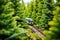 distant shot of a model train amongst miniature pine trees