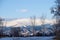 Distant Snowy Mountains with Foreground Trees