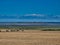 A distant view across fields of Lindisfarne Holy Island in Northumberland, England, UK