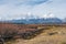 Distant view of the Grand Teton Mountain Range