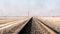 Distant view of the iron rails for the train in the steppe