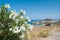 Distant view at Lindos Town and Castle with ancient ruins of the Acropolis on sunny warm day. View framed with flowers white