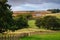 Distant View of Low Cleughs Bastle