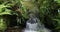 A distant view of a waterfall amidst dense greenery. Slow motion. pano
