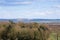 Distant View of the Whipsnade White Lion Bedfordshire England