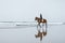 distant view of woman riding horse on sandy beach